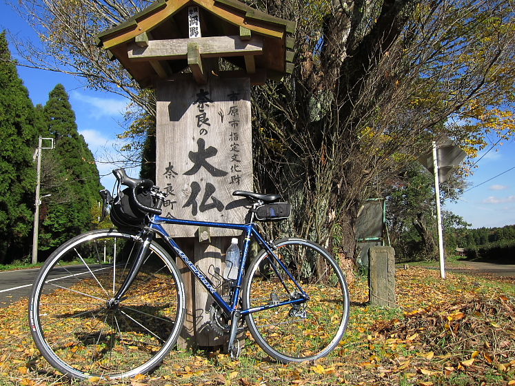IMG_1694.jpg - 市原　奈良公園