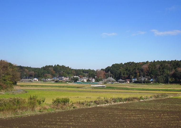 IMG_1816.jpg