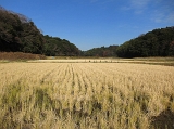 IMG_1901