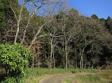 IMG_1913