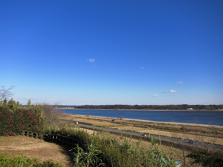 IMG_2034.jpg - 印旛沼公園にて