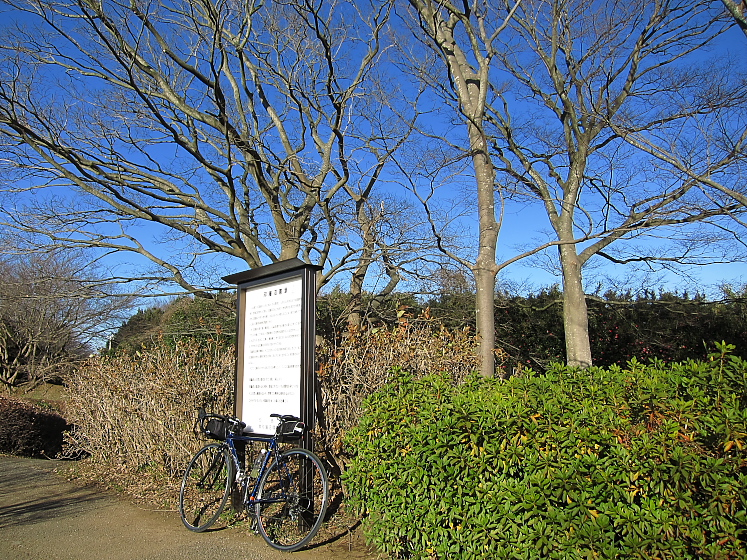 IMG_2038.jpg - 印旛沼公園にて