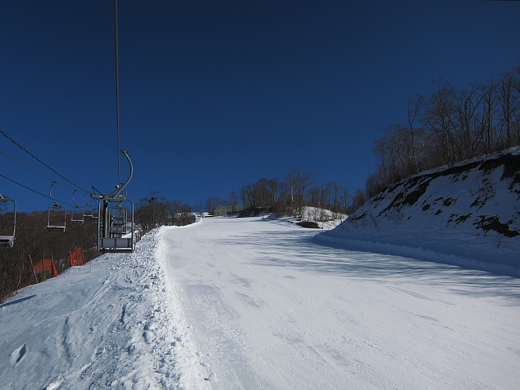 IMG_2238.jpg