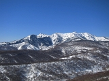 IMG_2255