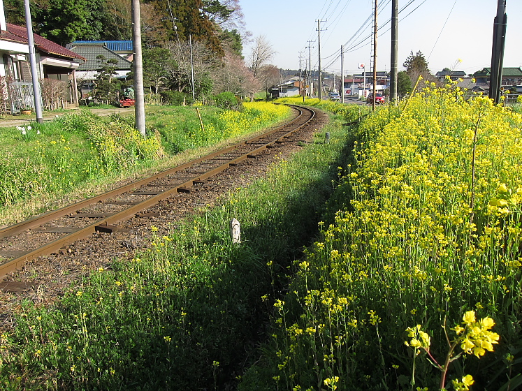 IMG_2580.jpg - 小湊鉄道　里見駅付近
