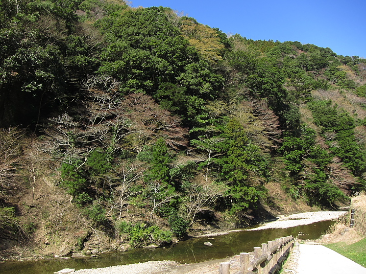 IMG_2631.jpg - 小櫃川