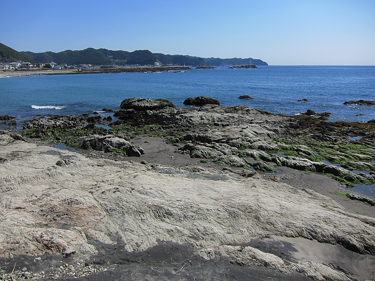 IMG_2645.jpg