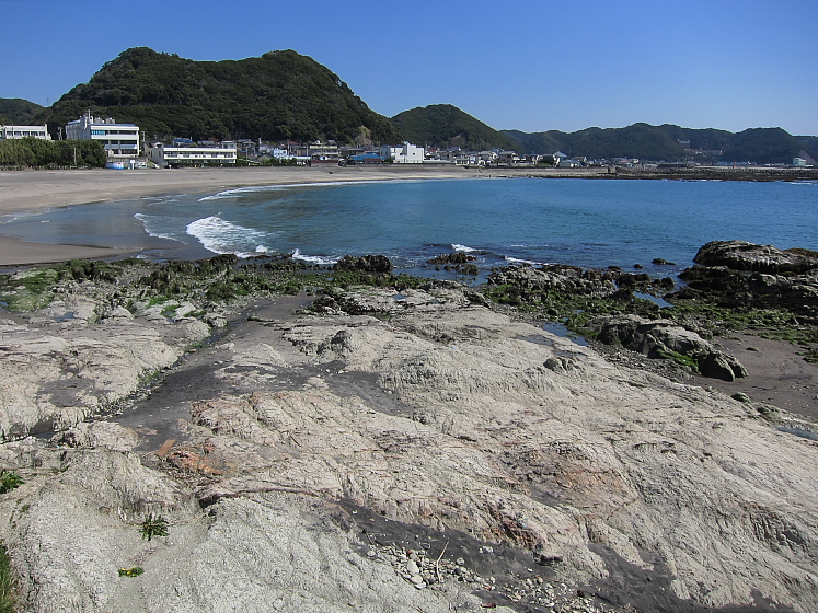 IMG_2646.jpg