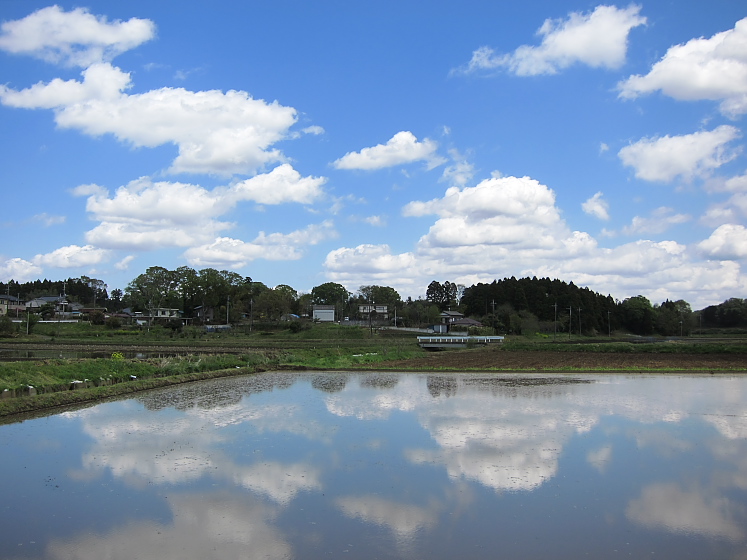 IMG_2796.jpg - 若葉区冨田町