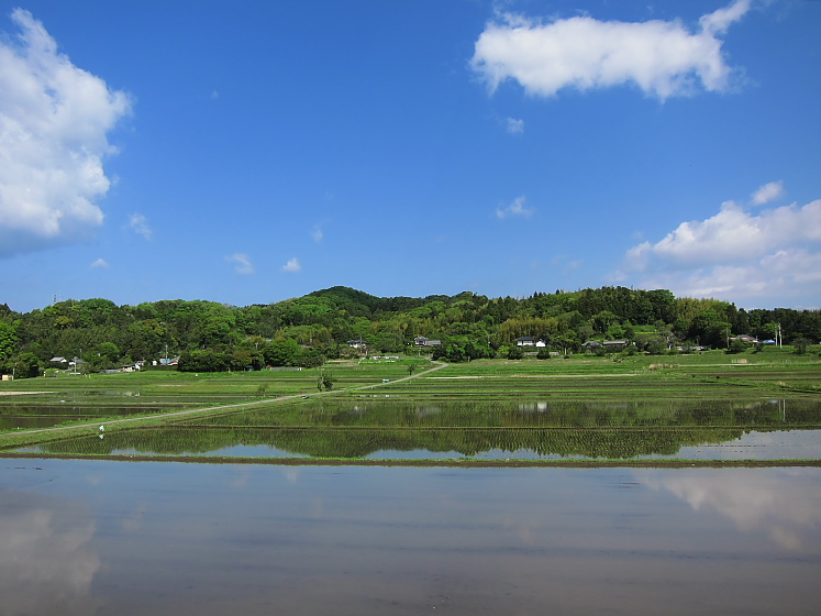 IMG_2880.jpg - 富津市更和付近