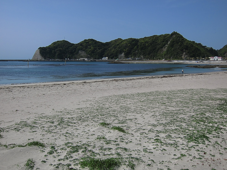 IMG_2889.jpg - 上総興津