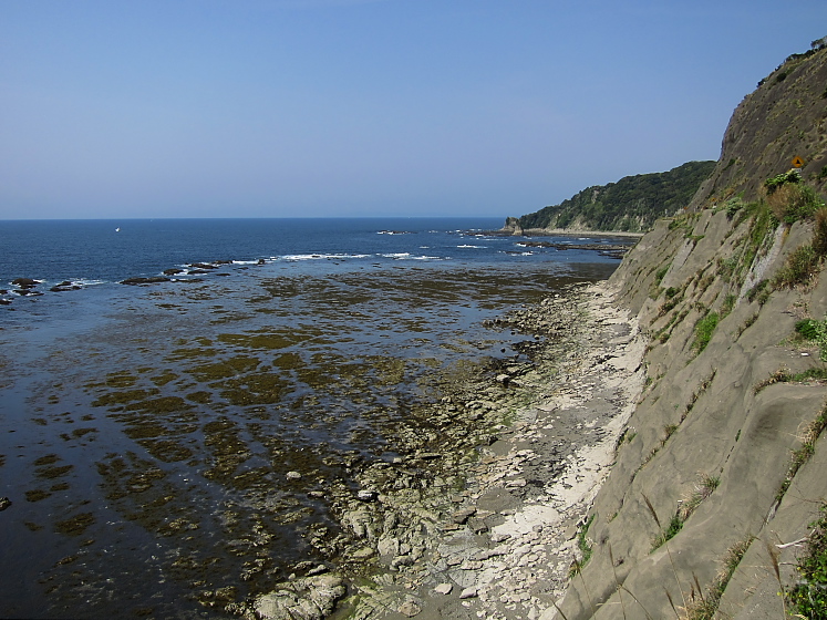 IMG_2894.jpg