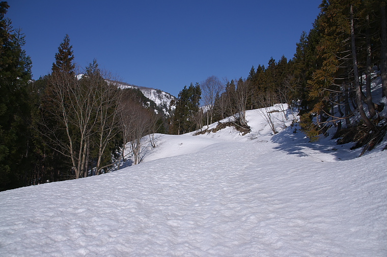 IMGP2069.jpg