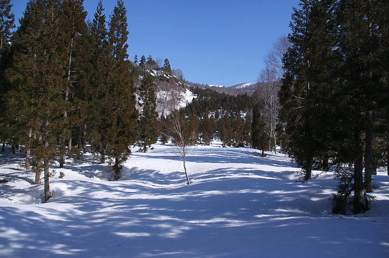 IMGP2070.jpg