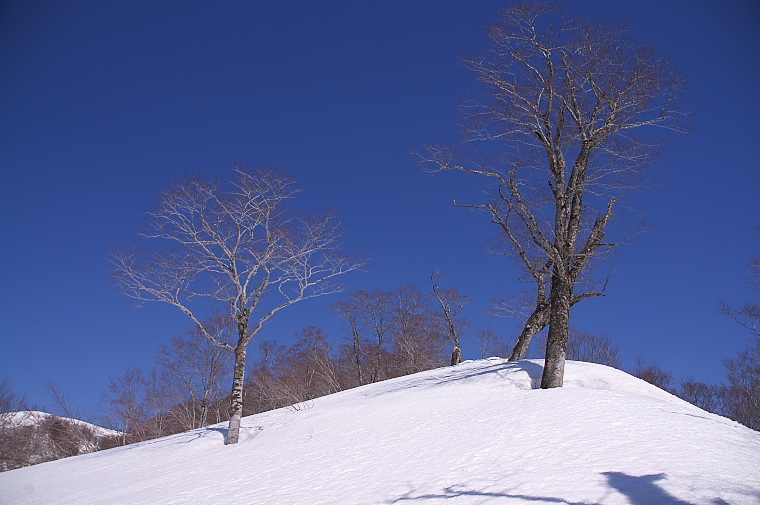 IMGP2079.jpg