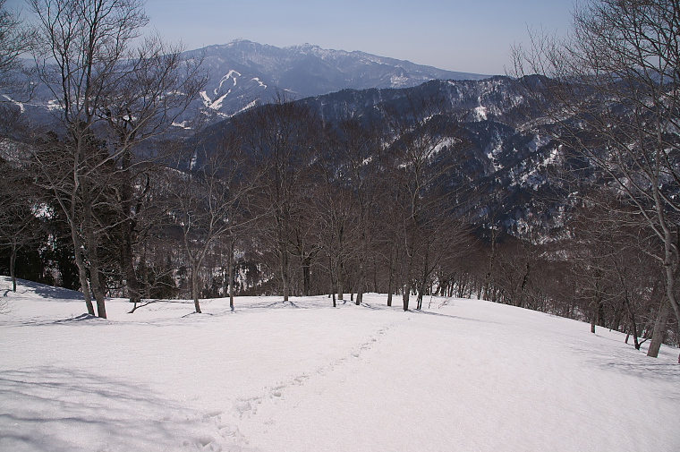 IMGP2091.jpg - 武尊山