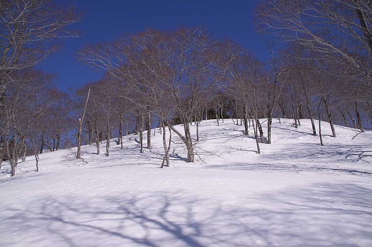IMGP2092.jpg