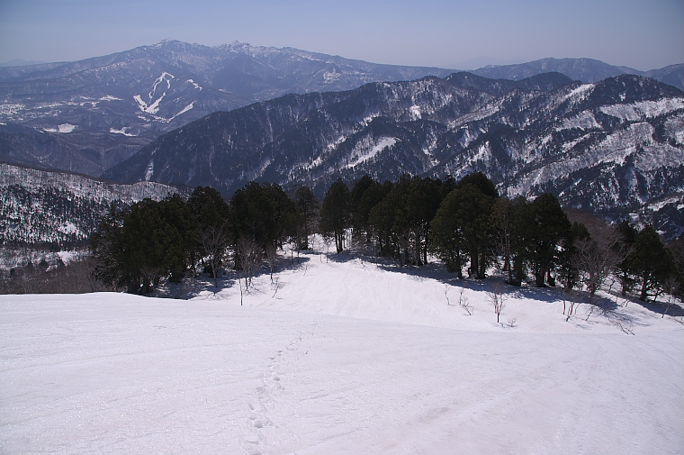 IMGP2107.jpg