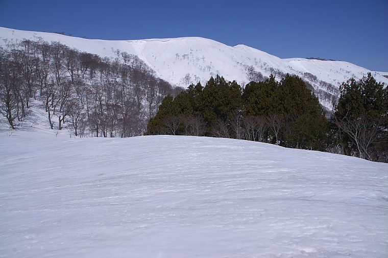 IMGP2132.jpg - 布引尾根