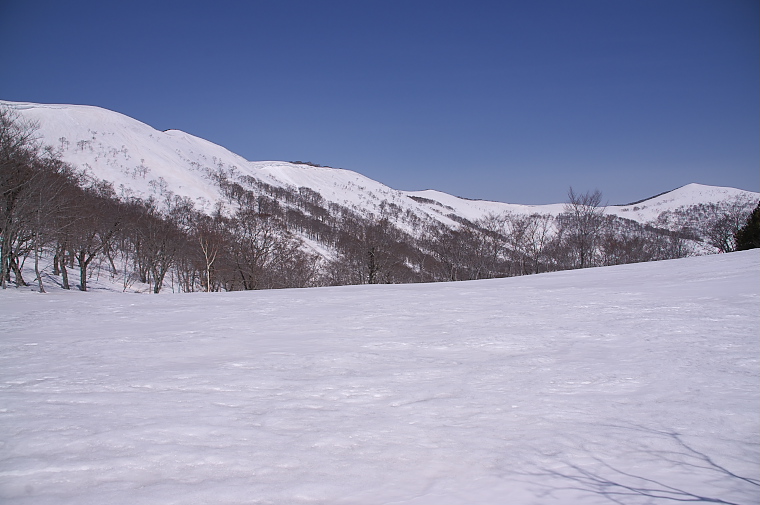 IMGP2140.jpg