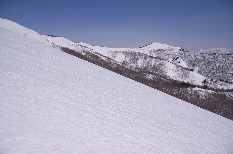 IMGP2149.jpg