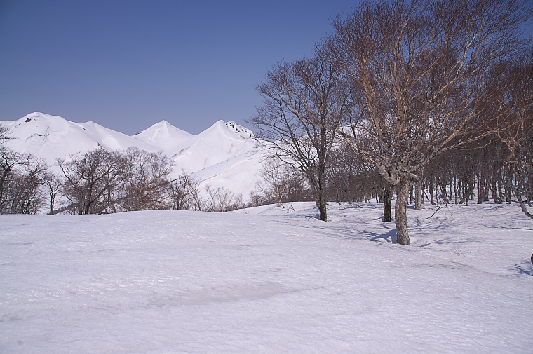 IMGP2224.jpg