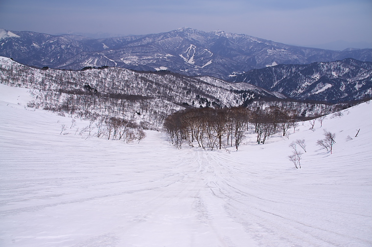 IMGP2228.jpg