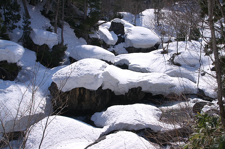 IMGP2313.jpg