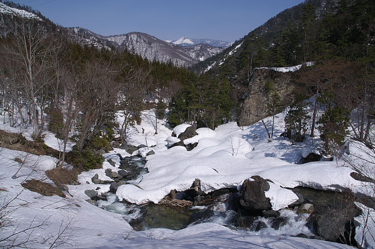 IMGP2317.jpg