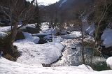 IMGP2061