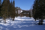 IMGP2070