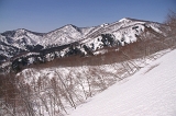 IMGP2075