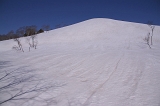 IMGP2094