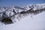 IMGP2118