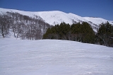 IMGP2132