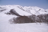 IMGP2251