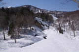 IMGP2303