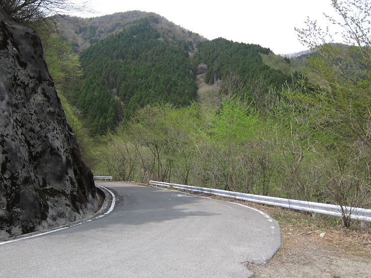 IMG_2936.jpg - 三の宿林道を滝が原峠へ向かう