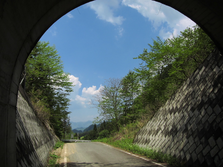 IMG_2968.jpg - 三境林道