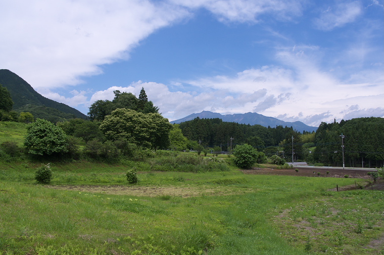 IMGP3107.jpg