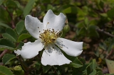 IMGP2514