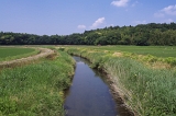 IMGP2587