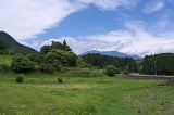 IMGP3107
