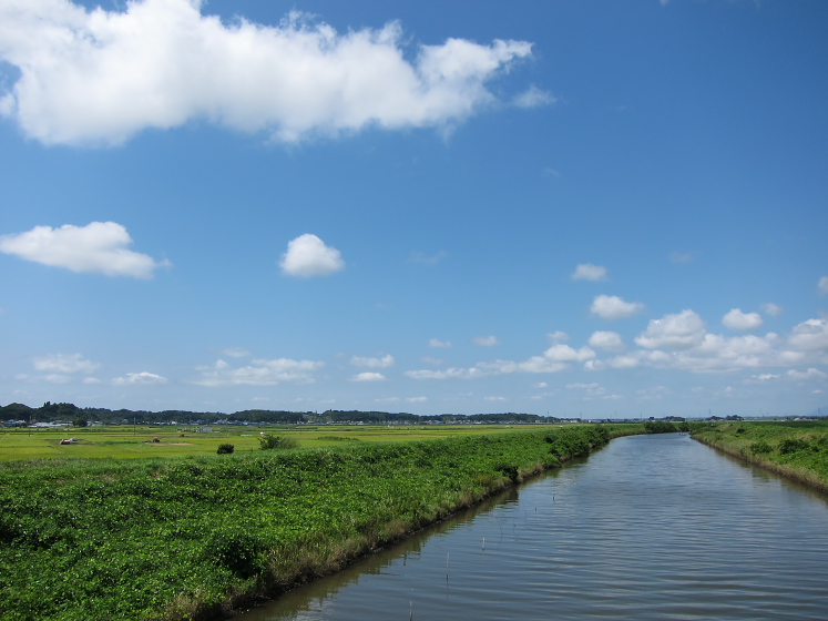 IMG_3121.jpg - 成田　根木名川