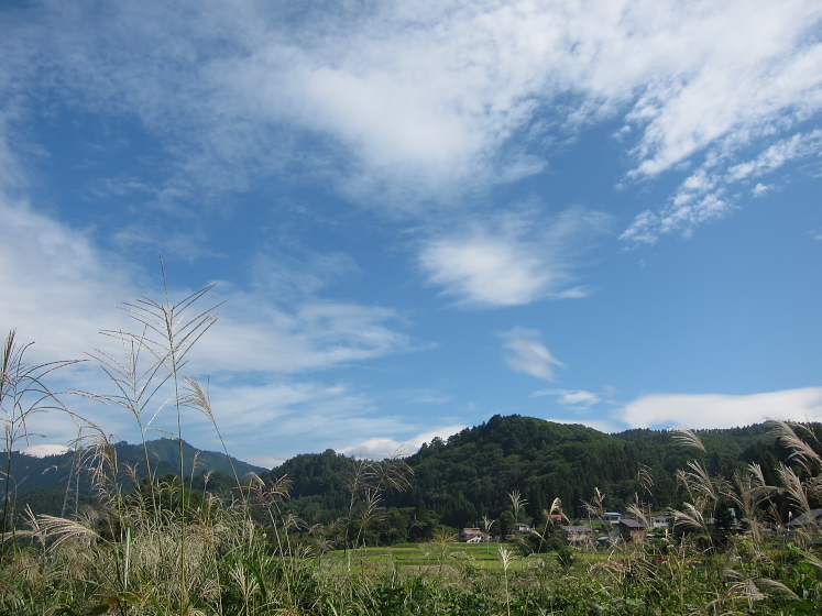 IMG_3162.jpg - 奥利根　藤原