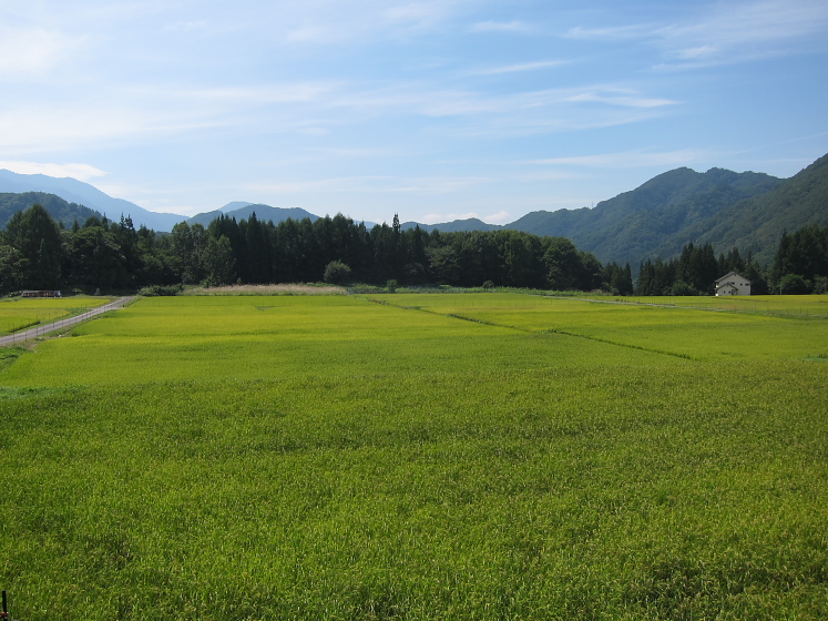 IMG_3168.jpg - 奥利根　藤原