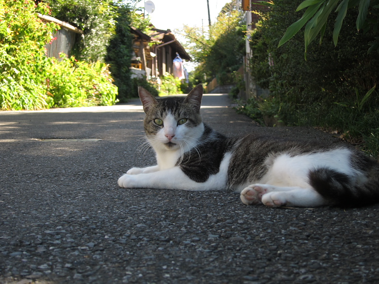 IMG_3184.jpg - 大多喜にて