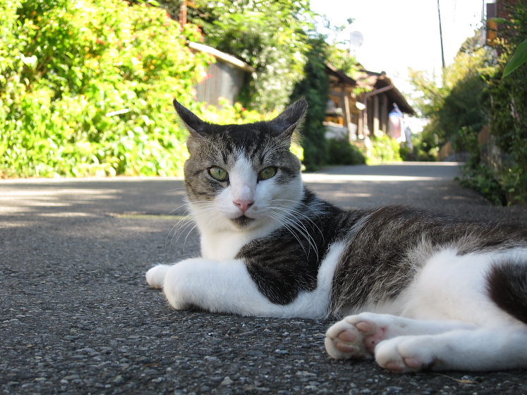 IMG_3192.jpg - 大多喜にて