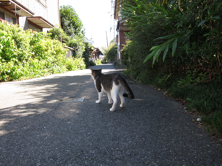 IMG_3197.jpg - 大多喜にて