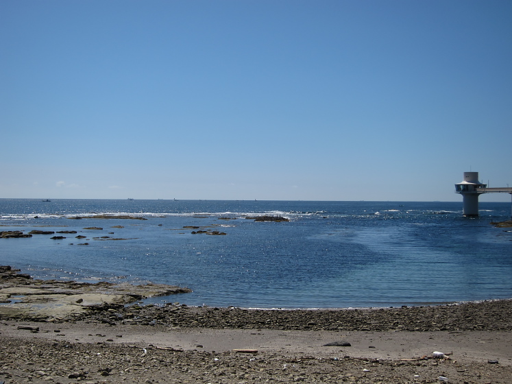 IMG_3201.jpg - 勝浦